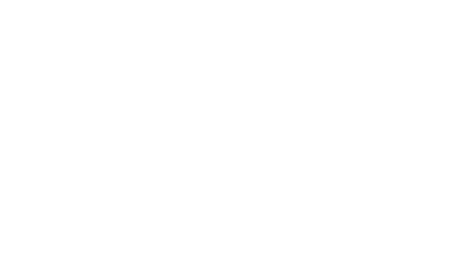 Avin Properties